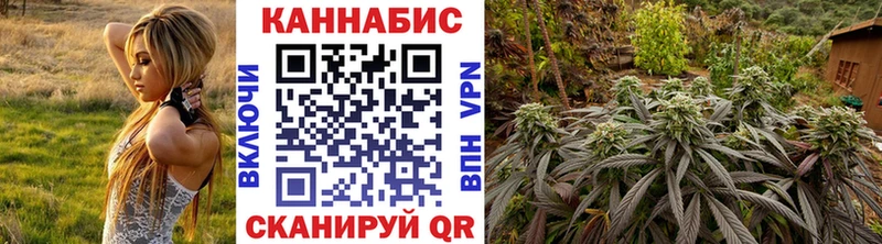 Виды наркоты Ногинск Каннабис Меф Alpha PVP ГАШИШ