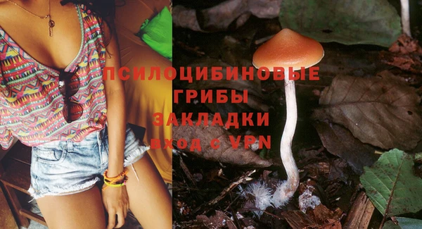 мяу мяу мука Баксан