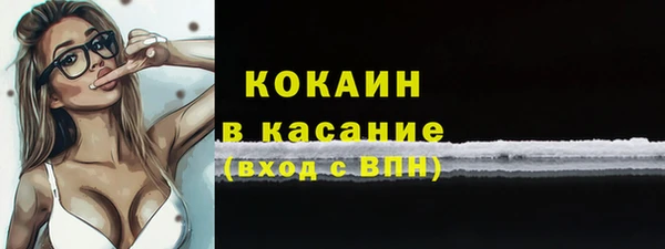 мяу мяу мука Баксан