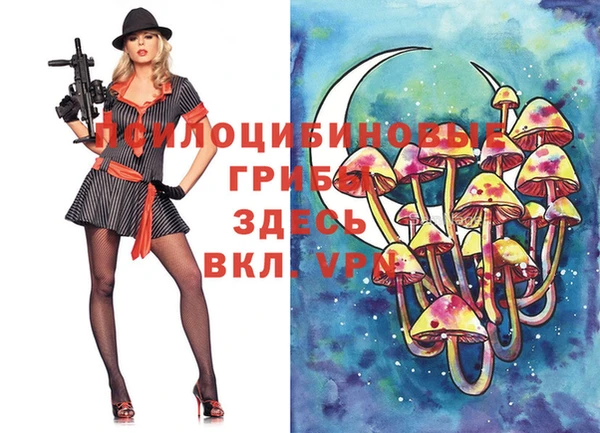 мяу мяу мука Баксан