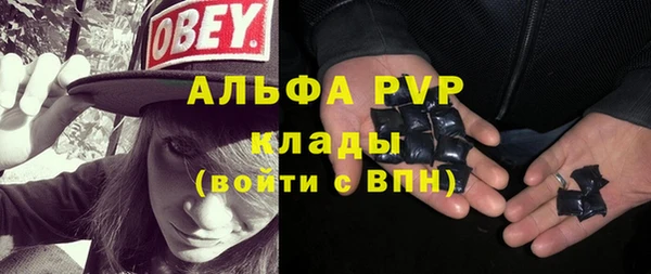 мяу мяу мука Баксан