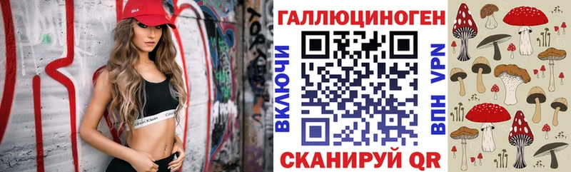 ссылка на мегу   Ногинск  Псилоцибиновые грибы мицелий 