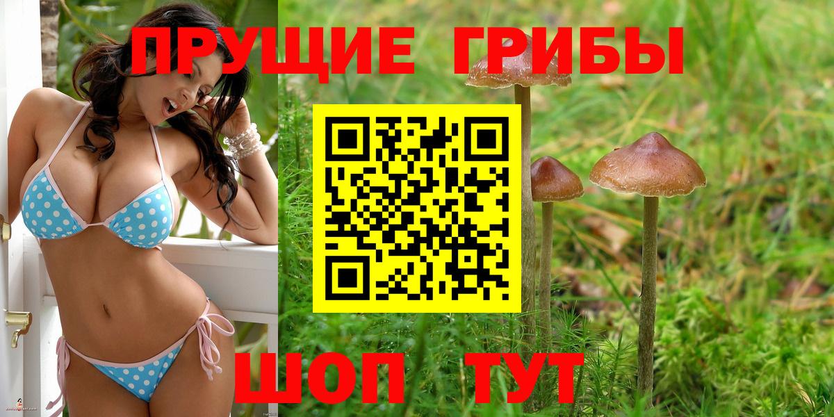 Галлюциногенные грибы Psilocybine cubensis  магазин  наркотиков  Вход с VPN  Ногинск  Галлюциногенные грибы ЛСД 